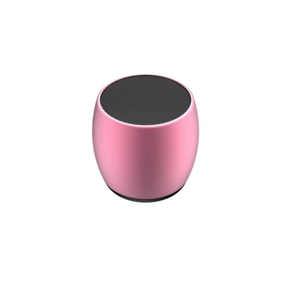 Mini Dual Speaker with Charging Base